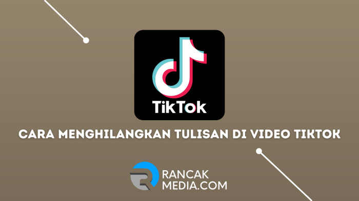 Cara Mengecilkan Tulisan Di Tiktok