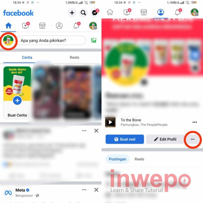 Cara Ubah Fb Biasa Ke Fb Pro