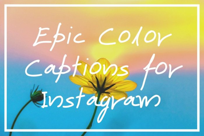Caption Ig Tentang Warna Putih