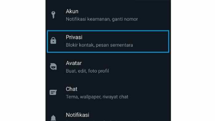 Cara Buat Bio Wa Kosong