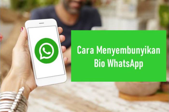 Cara Menghilangkan Bio Wa Kosong