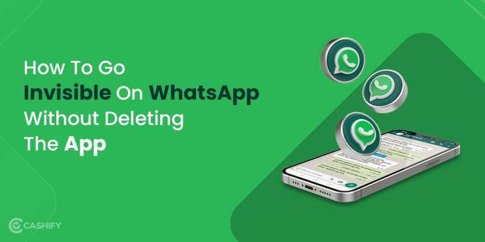 Cara Agar Info Di Wa Kosong Tanpa Aplikasi