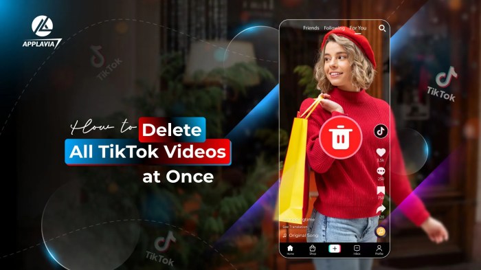 Cara Menghapus Pesan Di Tiktok Secara Bersamaan