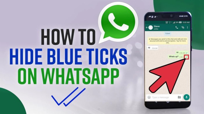 Bagaimana Cara Menghilangkan Centang Biru Di Whatsapp