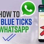 Cara Tidak Centang Biru Di Wa