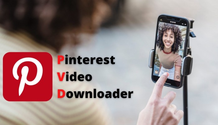 Cara Download Video Dari Pinterest Ke Galeri