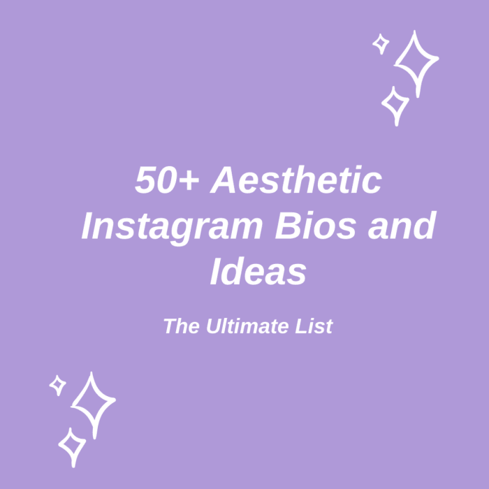 Cara Membuat Tulisan Aesthetic Di Bio Instagram