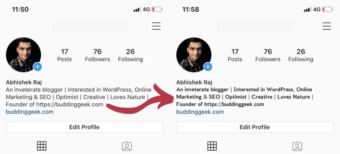 Cara Membuat Tulisan Miring Di Bio Instagram