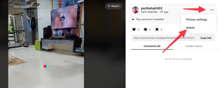 Cara Menghapus Pesan Di Tiktok Secara Bersamaan