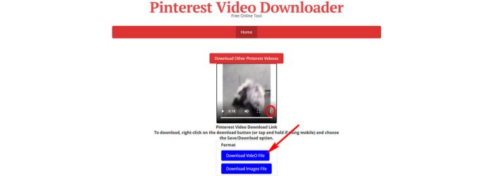 Cara Download Video Dari Pinterest Ke Galeri