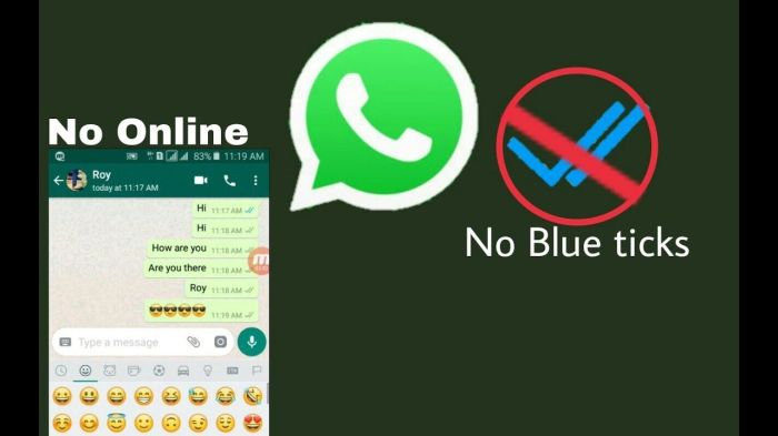 Bagaimana Cara Menghilangkan Centang Biru Di Whatsapp