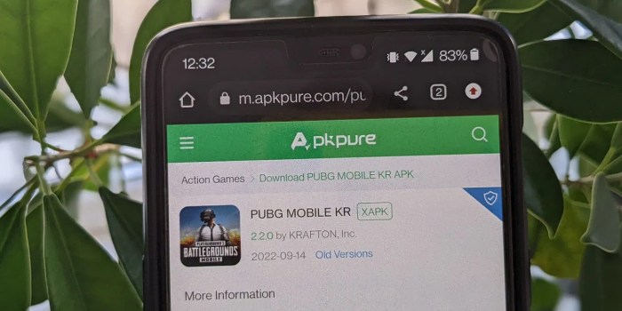 Cara Instal Xapk Tanpa Aplikasi