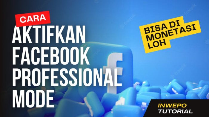 Cara Mengganti Fb Biasa Ke Fb Pro