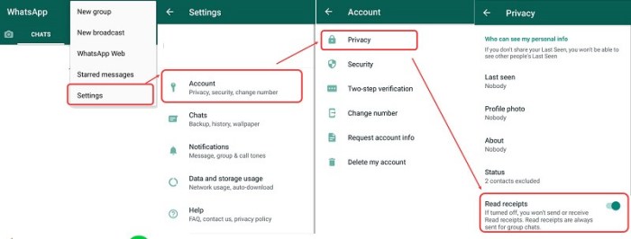 Cara Menghilangkan Centang Biru Di Whatsapp