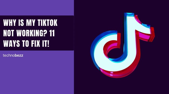 Kenapa Tiktok Tidak Bisa Dibuka Padahal Jaringan Bagus