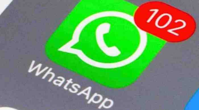 Cara Menghilangkan Centang Biru Di Whatsapp