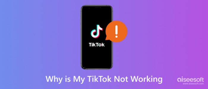 Kenapa Tiktok Tidak Bisa Dibuka Padahal Jaringan Bagus