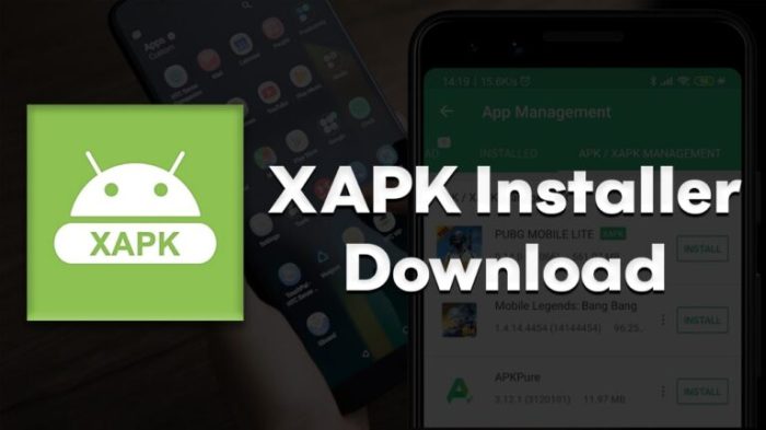 Devices xapk install android